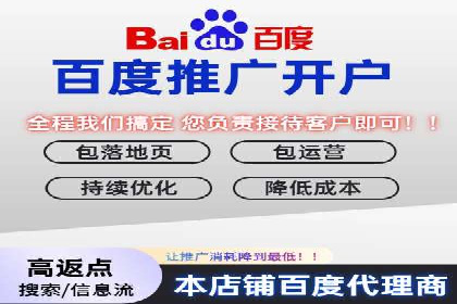 竞价推广成功案例解析